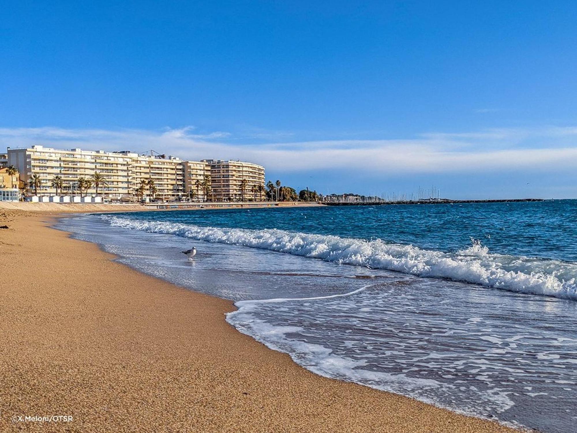 Appartement 2P, 4 Couchages, Terrasse Et Salon De Jardin A 200M De La Plage, Frejus - Fr-1-226A-22 Dış mekan fotoğraf